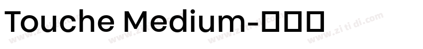 Touche Medium字体转换